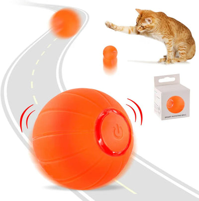 PawBounce Ball™ – Small Bouncing Toy for Dogs & Cats