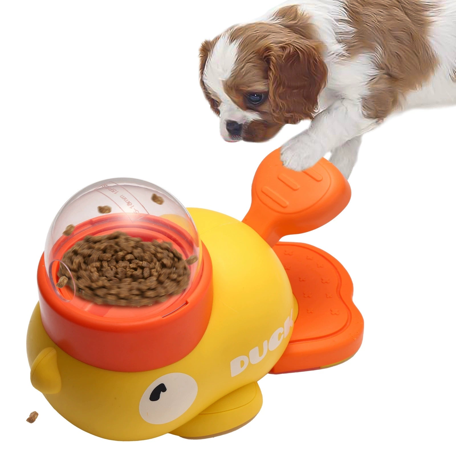 Pet Automatic Feeder