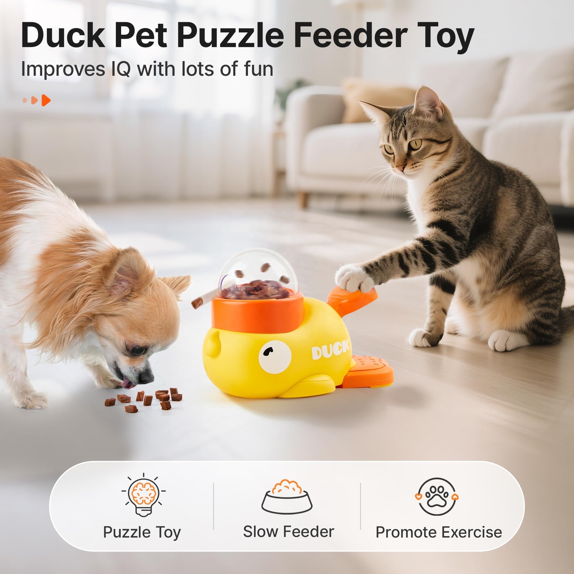 Pet Automatic Feeder