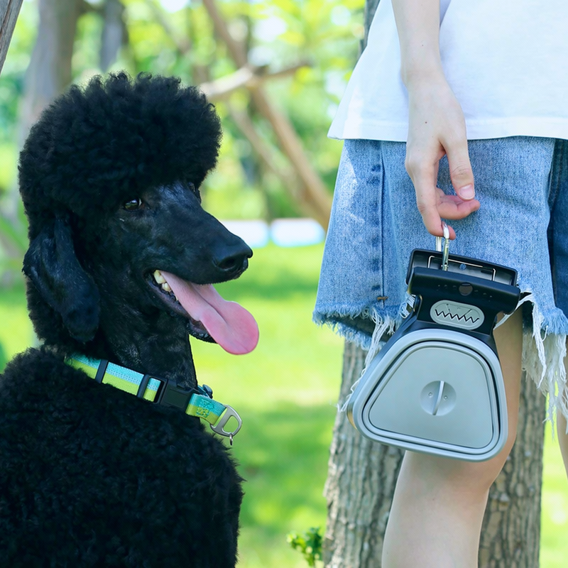 PawScoop™ – Easy Pet Waste Scooper for Clean Walks
